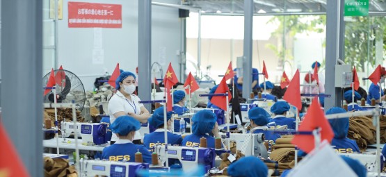 Gia công sản xuất đơn hàng trong nước và xuất khẩu